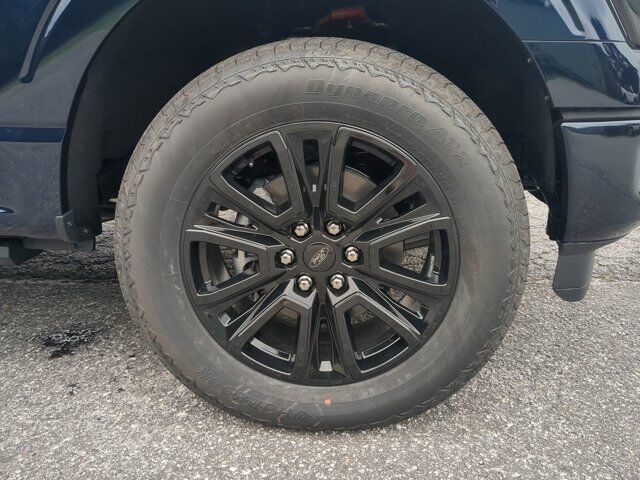 2025 Ford F-150 Platinum Appleton WI
