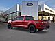 2025 Ford F-150 Platinum Oshkosh WI 2025 Ford F-150 Platinum Oshkosh WI