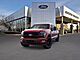 2025 Ford F-150 Platinum Oshkosh WI 2025 Ford F-150 Platinum Oshkosh WI