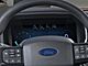 2025 Ford F-150 Platinum Oshkosh WI 2025 Ford F-150 Platinum Oshkosh WI