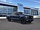 2025 Ford F-150 Platinum Oshkosh WI
