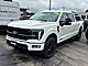 2025 Ford F-150 Platinum Oshkosh WI