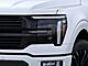 2025 Ford F-150 Platinum Oshkosh WI