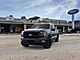 2025 Ford F-150 Platinum Oshkosh WI