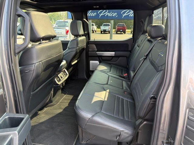 2025 Ford F-150 Platinum Pine River MN