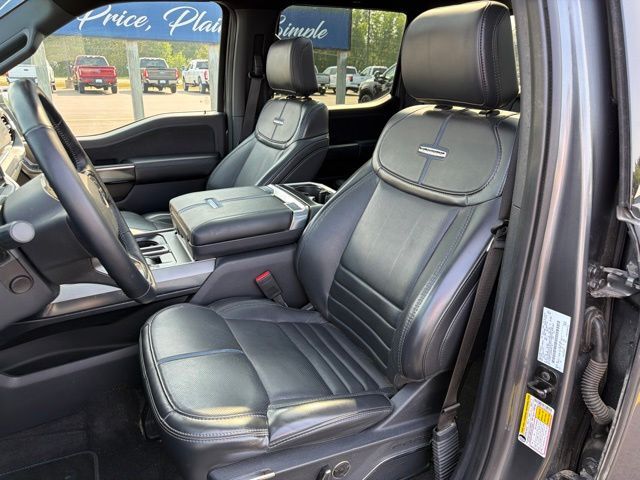 2025 Ford F-150 Platinum Pine River MN