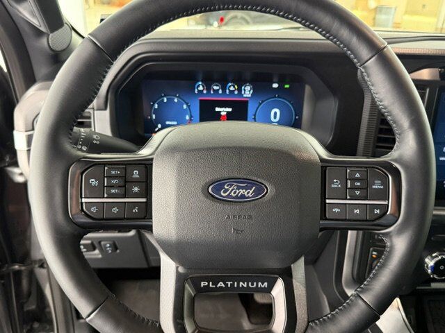 2025 Ford F-150 Platinum New Braunfels TX