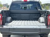 2025 Ford F-150 Platinum San Diego County CA