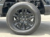 2025 Ford F-150 Platinum San Diego County CA