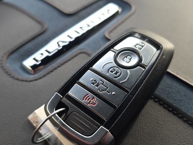 2025 Ford F-150 Platinum Watertown SD