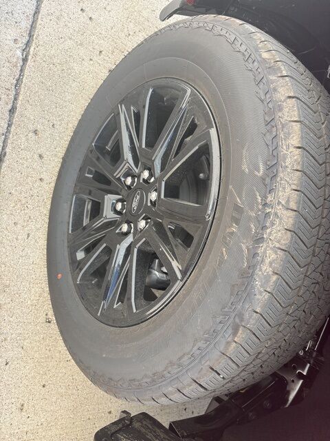2025 Ford F-150 Platinum Watertown SD