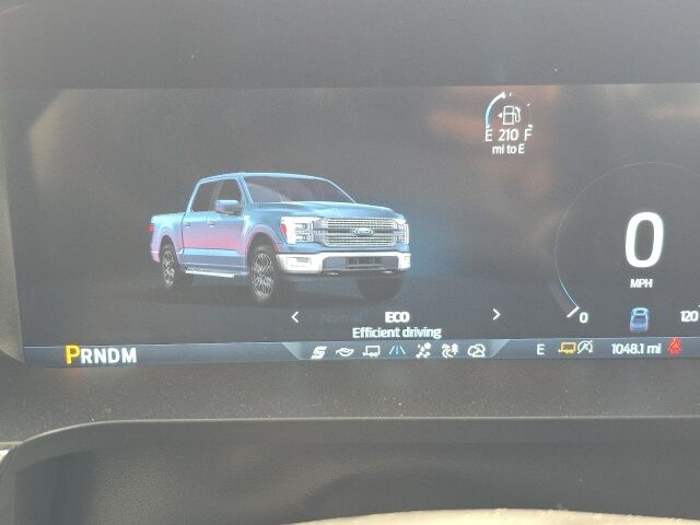 2025 Ford F-150 Platinum Watertown SD