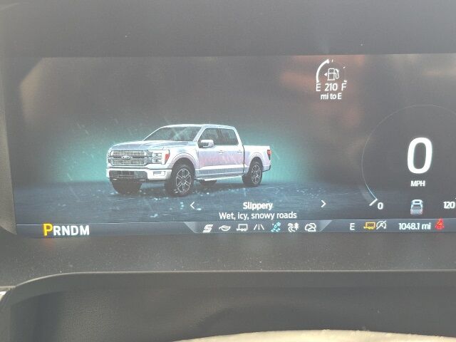 2025 Ford F-150 Platinum Watertown SD
