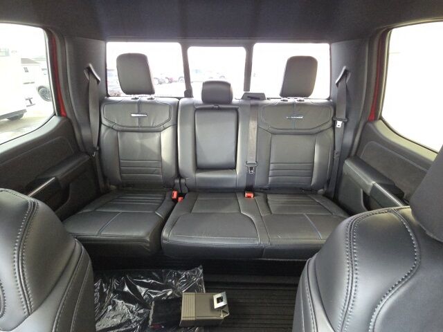 2025 Ford F-150 Platinum Watertown SD