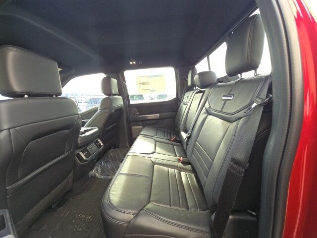 2025 Ford F-150 Platinum Watertown SD