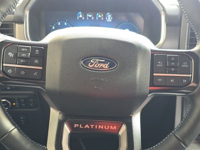 2025 Ford F-150 Platinum Watertown SD