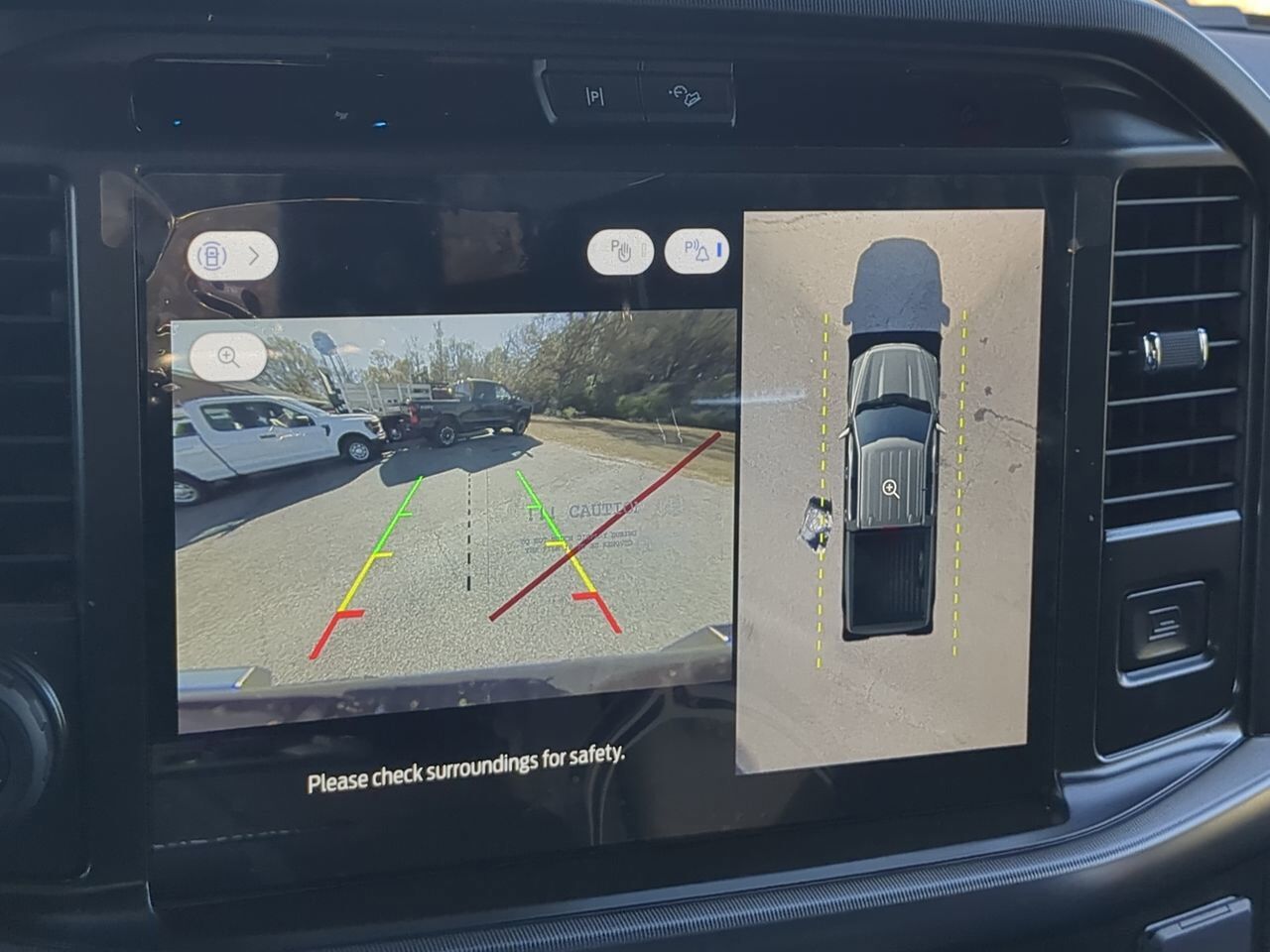 2025 Ford F-150 Platinum Winder GA