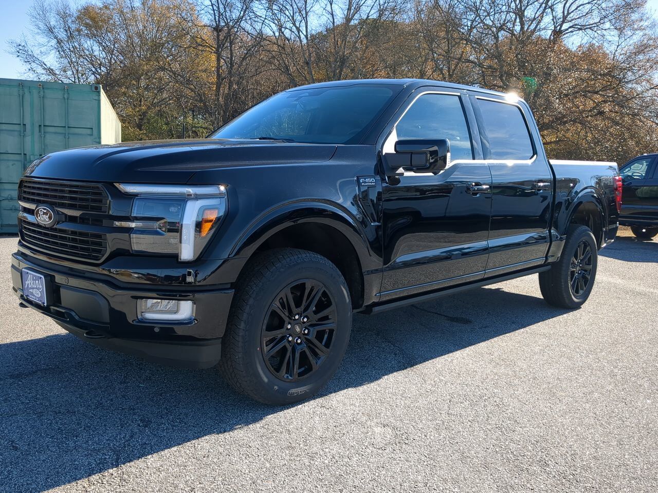 2025 Ford F-150 Platinum Winder GA