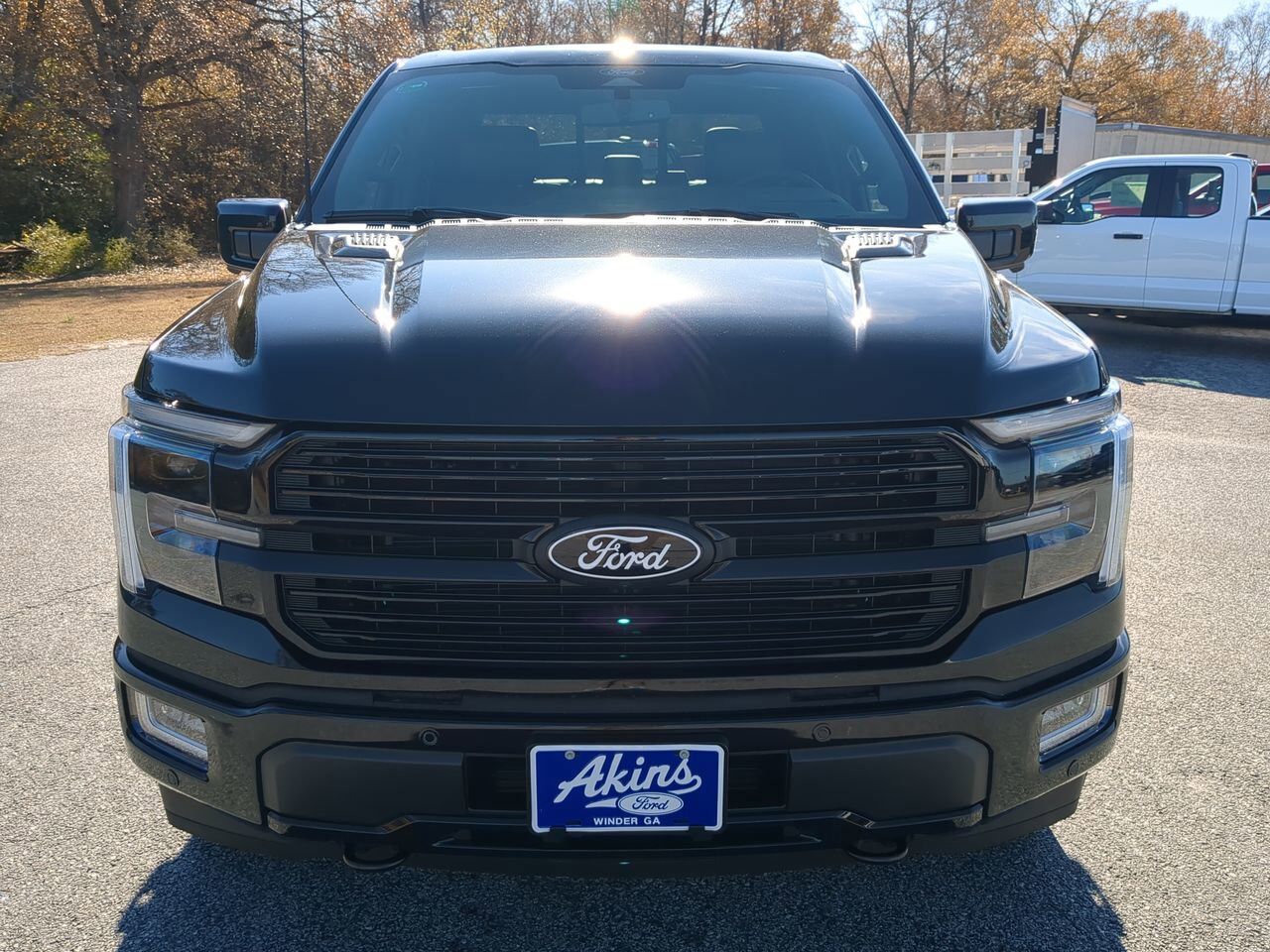 2025 Ford F-150 Platinum Winder GA