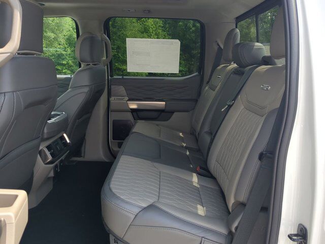 2025 Ford F-150 Platinum Winder GA