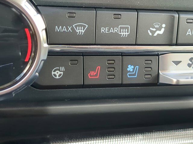 2025 Ford F-150 Platinum Winder GA