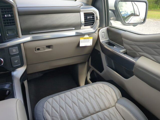 2025 Ford F-150 Platinum Winder GA