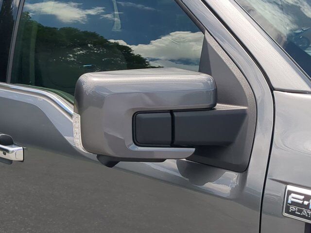 2025 Ford F-150 Platinum Winder GA