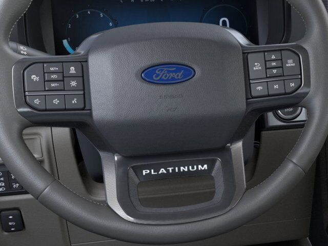 2025 Ford F-150 Platinum Winder GA