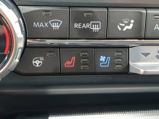 2025 Ford F-150 Platinum Winder GA