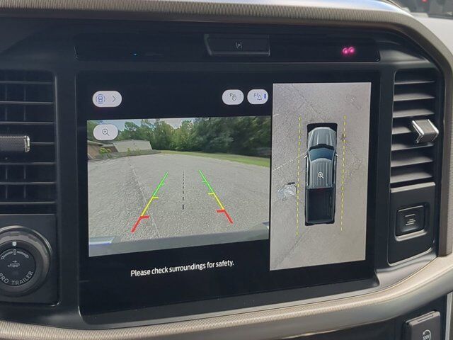 2025 Ford F-150 Platinum Winder GA