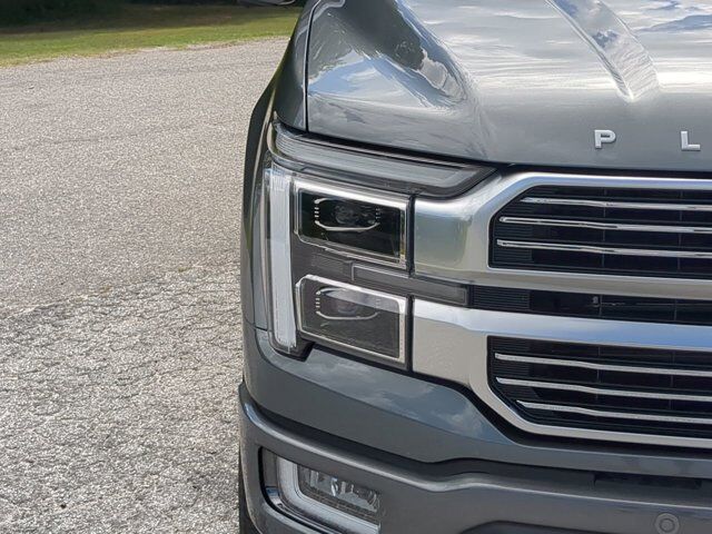 2025 Ford F-150 Platinum Winder GA