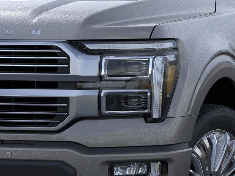 2025 Ford F-150 Platinum Winder GA