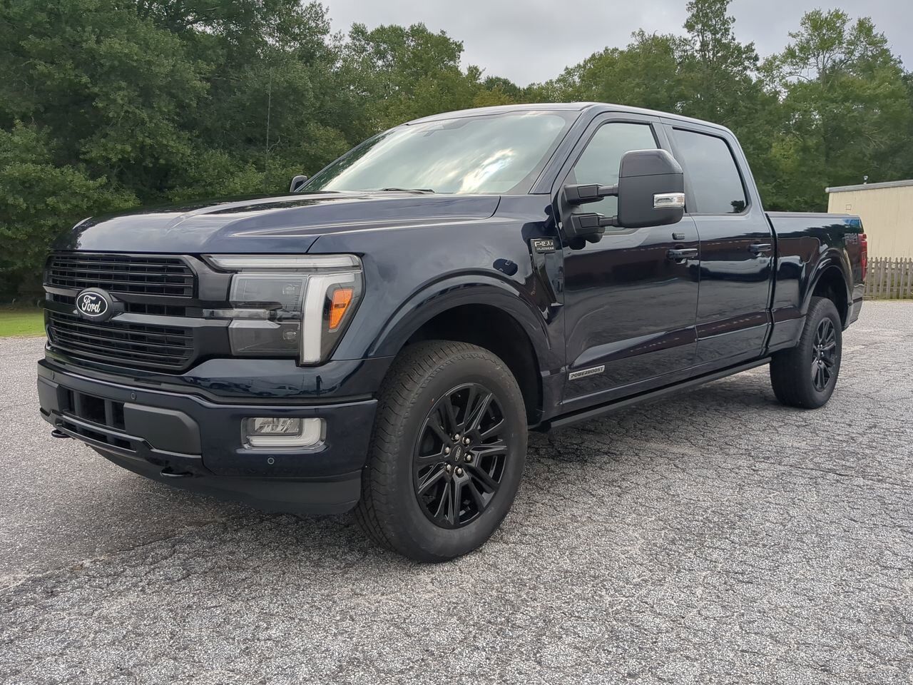 2025 Ford F-150 Platinum Winder GA