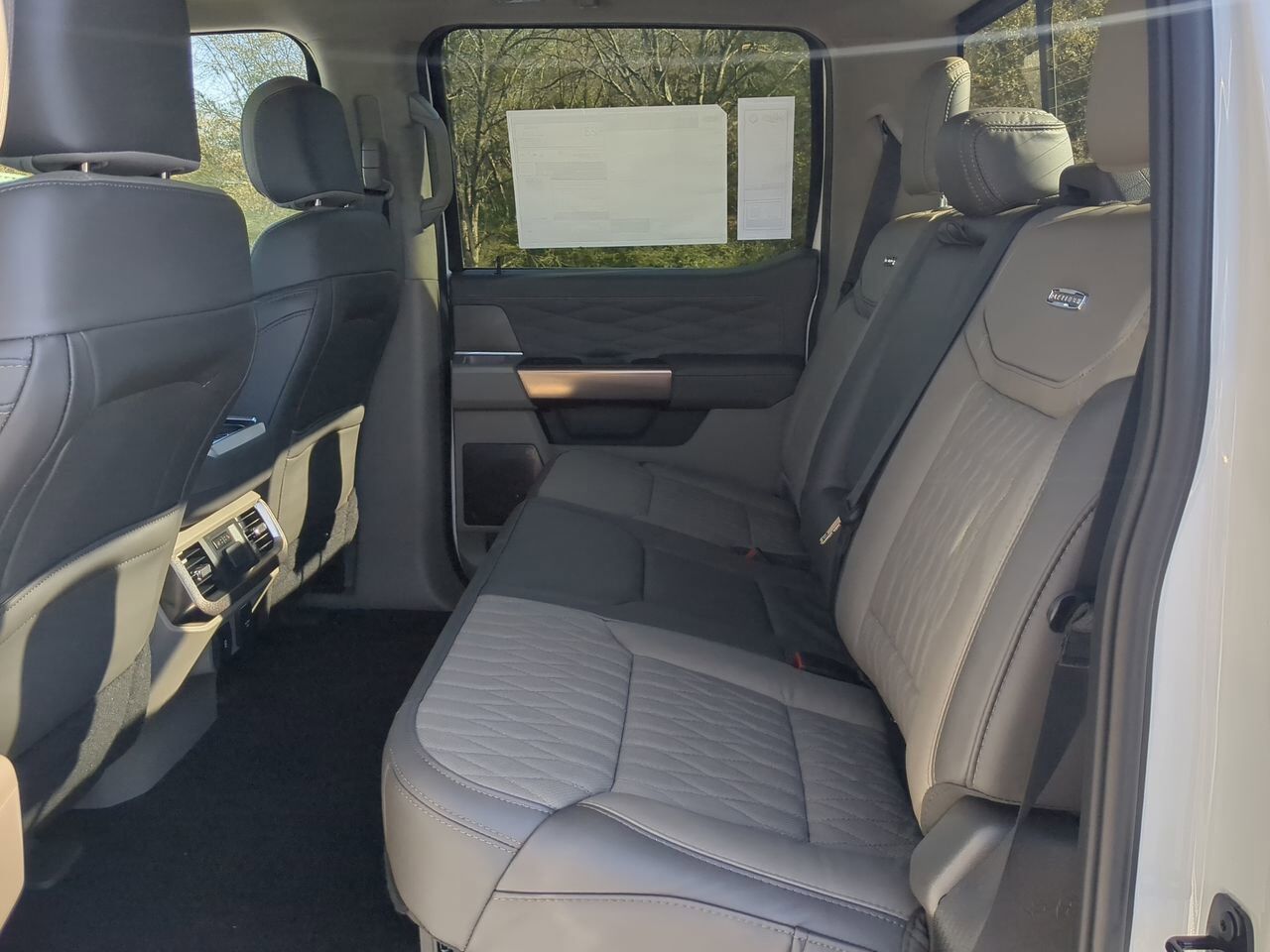 2025 Ford F-150 Platinum Winder GA