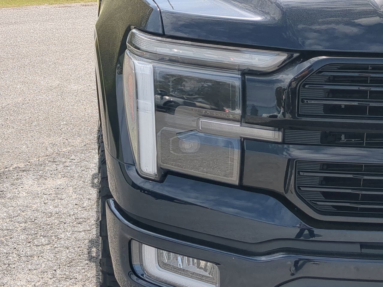 2025 Ford F-150 Platinum Winder GA