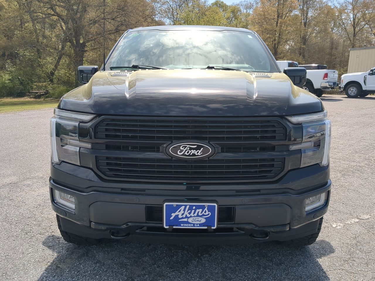 2025 Ford F-150 Platinum Winder GA