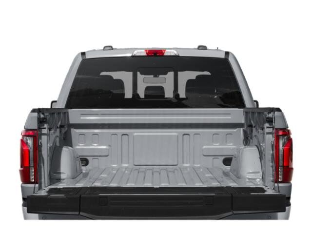 2025 Ford F-150 Platinum Winder GA