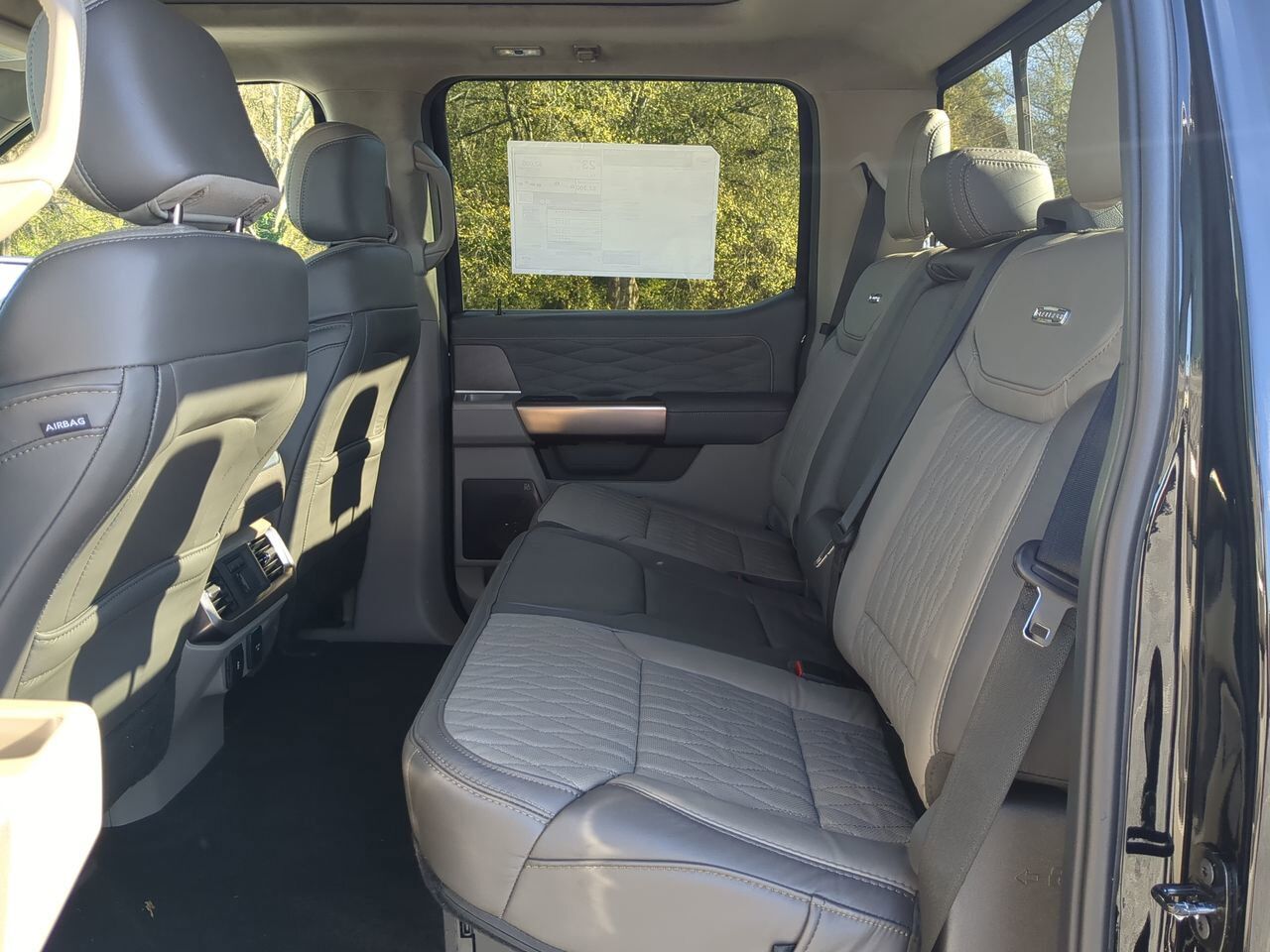 2025 Ford F-150 Platinum Winder GA