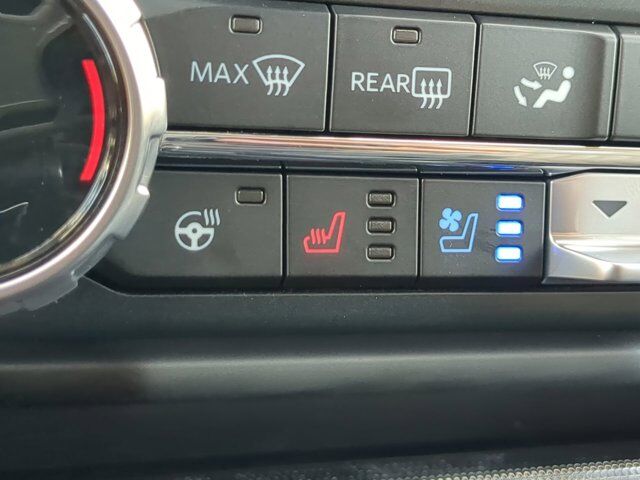 2025 Ford F-150 Platinum Winder GA