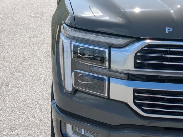 2025 Ford F-150 Platinum Winder GA