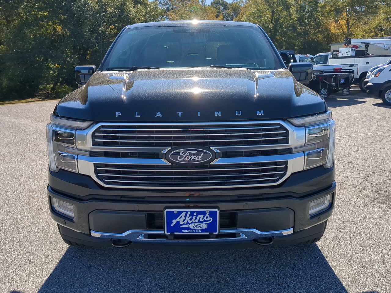 2025 Ford F-150 Platinum Winder GA