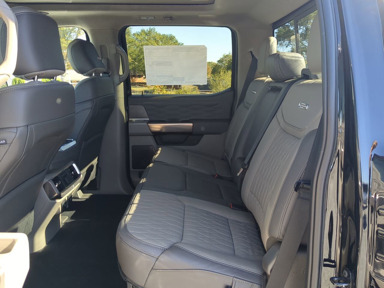 2025 Ford F-150 Platinum Winder GA