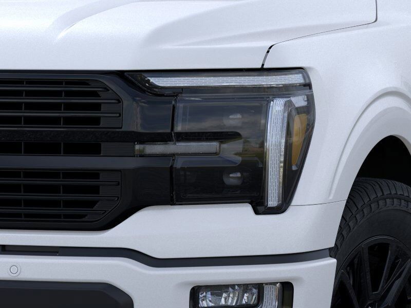 2025 Ford F-150 Platinum Ashland VA