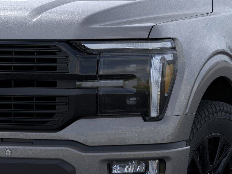 2025 Ford F-150 Platinum Ashland VA