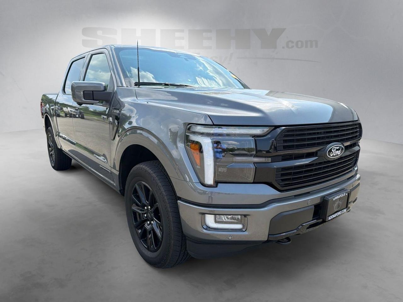 2025 Ford F-150 Platinum Ashland VA