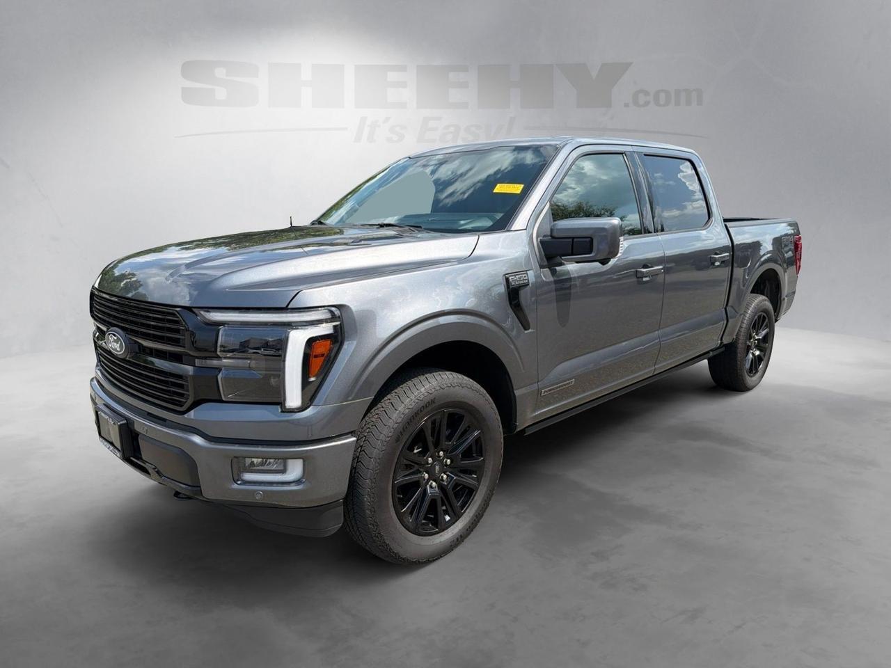 2025 Ford F-150 Platinum Ashland VA