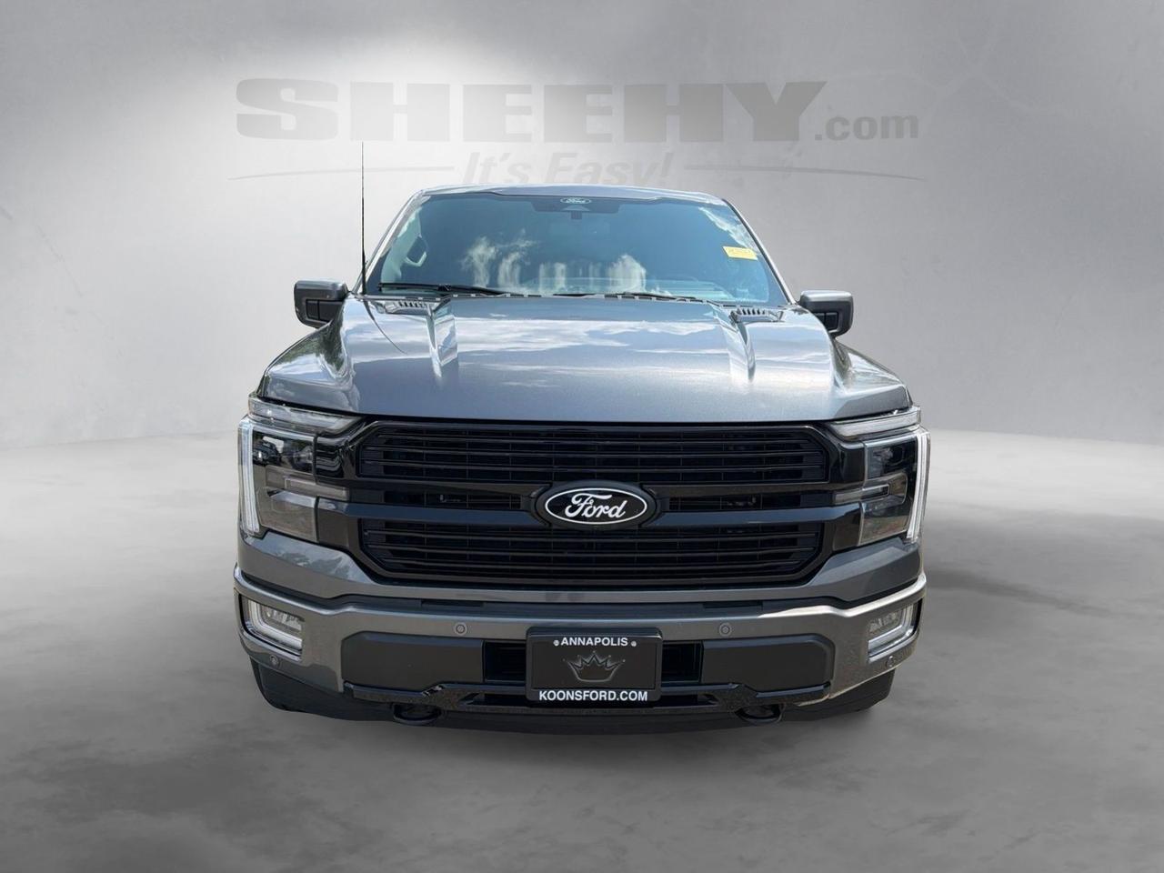 2025 Ford F-150 Platinum Ashland VA