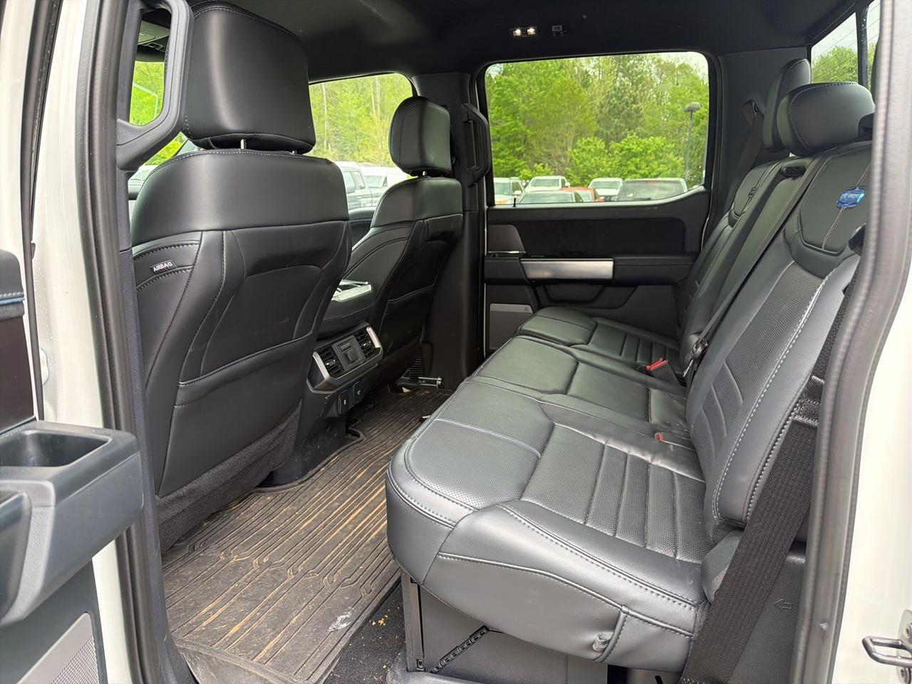 2025 Ford F-150 Platinum Ashland VA