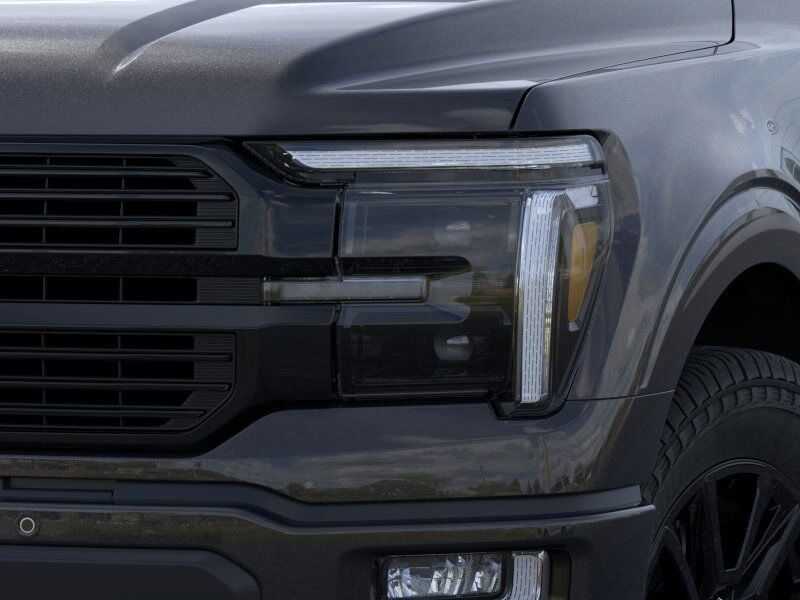 2025 Ford F-150 Platinum Richmond VA