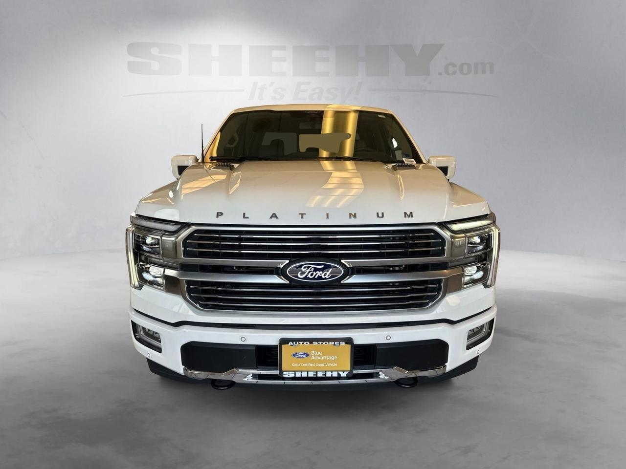 2025 Ford F-150 Platinum Richmond VA
